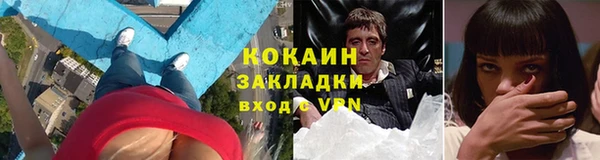 apvp Гусев