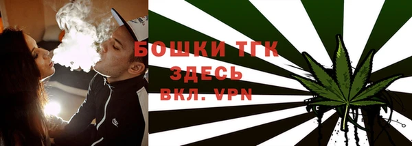 сатива Горнозаводск