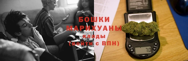 сатива Горнозаводск