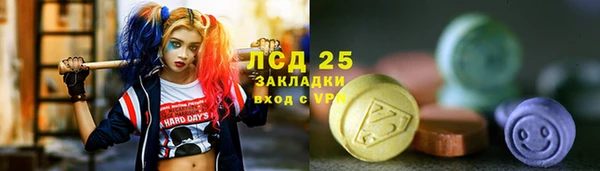 apvp Гусев