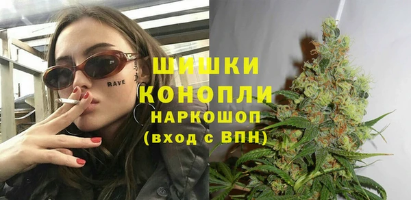 амф Гусь-Хрустальный