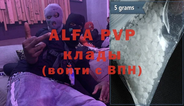 apvp Гусев