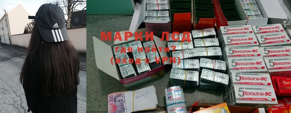 сатива Горнозаводск