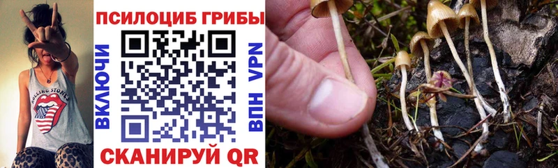 Псилоцибиновые грибы мицелий  Купить закладки  Тобольск 